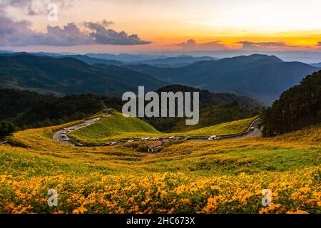 Wunderschöne Landschaft mit Blick auf gelbe Blumen Thung Bua Tong, Mae Hong Son, Thailand Stockfoto