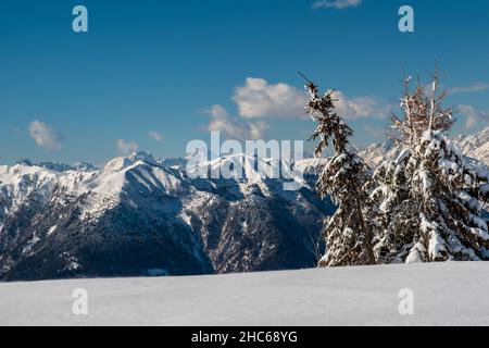 Auf dem Berg Zoncolan, Karnischen alpen nach einem großen Schneefall. Provinz Udine, Region Friaul-Julisch Venetien, Italien Stockfoto