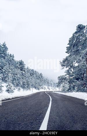 Eine vertikale Aufnahme einer Autobahn mitten in einem voll schneebedeckten Wald. Stockfoto