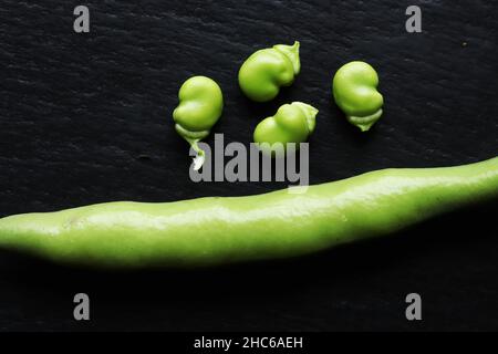 Fotografie einer breiten Bohnenschote und vier Bohnen isoliert auf Schieferhintergrund für Illustrationen zu Lebensmitteln Stockfoto