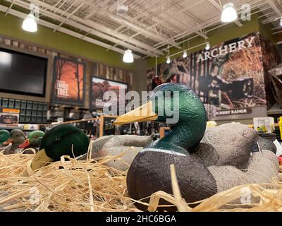 Augusta, GA USA - 12 03 21: Cabelas-Einzelhandelsgeschäft Cabela Parkway Stockfoto
