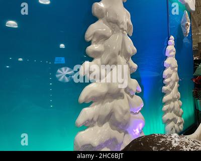 Augusta, GA USA - 12 03 21: Cabelas-Einzelhandelsgeschäft Cabela Parkway Stockfoto