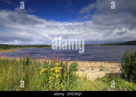 Blick im Sommer auf das Kielder Wasser und den Kielder Forest Park, Northumberland, England, Großbritannien Stockfoto