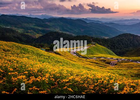 Wunderschöne Landschaft mit Blick auf gelbe Blumen Thung Bua Tong, Mae Hong Son, Thailand Stockfoto