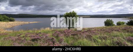 Blick im Sommer auf das Kielder Wasser und den Kielder Forest Park, Northumberland, England, Großbritannien Stockfoto