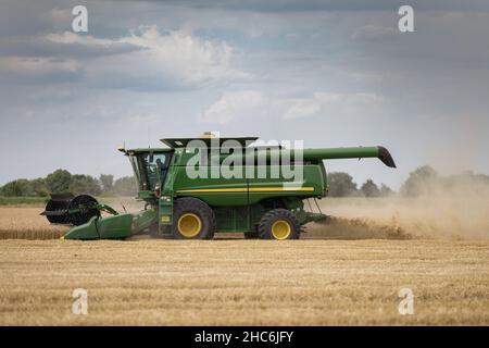 Ein Landwirt, der in Kansas mit einem grünen Mähdrescher Weizen erntet. Stockfoto