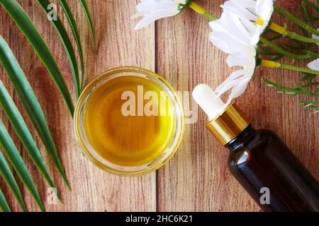 Ätherische Eukalyptus-Öle in einer Glasflasche und Blume auf dem Tisch Stockfoto