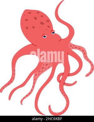 Rote Krake isoliert auf weißem, marinen Leben Stock Vektor