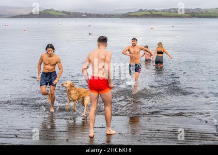 Bantry, West Cork, Irland. 25th Dez 2021. Eine Reihe von Menschen gingen heute Nachmittag in Bantry zum Weihnachtsschwimmen in einem flachen, ruhigen Meer. Quelle: AG News/Alamy Live News Stockfoto