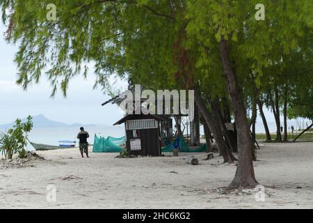 Schöne Aufnahme eines Baumes, der am Strand in Thailand wächst. Stockfoto