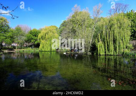 Der See in Priors Close Park, Melton Mowbray, Leicestershire, England; Großbritannien; VEREINIGTES KÖNIGREICH Stockfoto