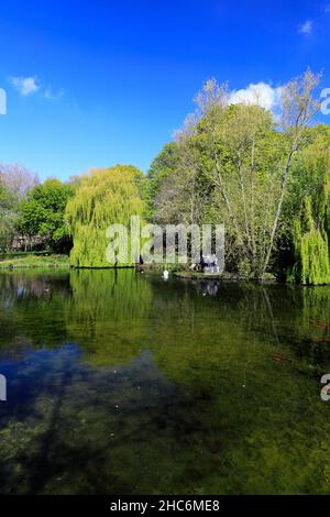 Der See in Priors Close Park, Melton Mowbray, Leicestershire, England; Großbritannien; VEREINIGTES KÖNIGREICH Stockfoto