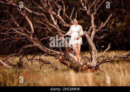 Schwanger Modell posiert für ein Fotoshooting auf einem Feld. Stockfoto