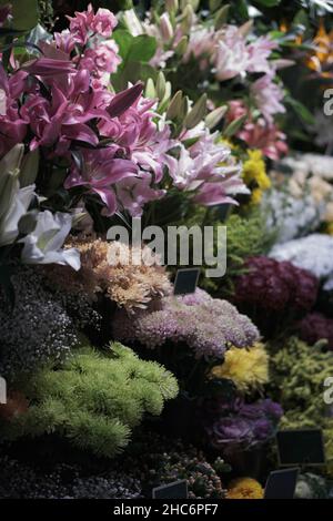 Vertikale Aufnahme eines Blumenladens mit verschiedenen Arten von Blumen Stockfoto