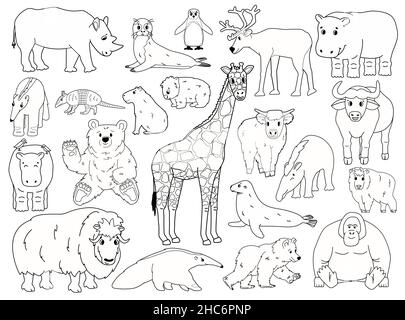 Satz von Doodle Tiere. Vektor Umriss Cartoon isolierte Grafik handgezeichnete Illustration. Giraffenbär Orang-Utan Ochse Nashorn wombat Hochland Kuh Robben Tapir Stock Vektor