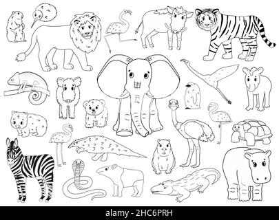 Set von Doodle Welt Tiere. Vektor Umriss Cartoon isolierte Grafik handgezeichnete Illustration. Elefant Nilpferd Zebra Flamingo Löwe Wildschwein Tapir Pinguin Stock Vektor