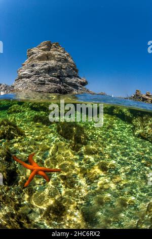 FRANKREICH, VAR (83) SIX-VOURS-LES-PLAGES Stockfoto