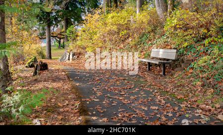 Mit Blättern bedeckter Pfad mit Bänken und Bäumen, Stevenson Park, USA Stockfoto