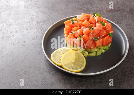 Lachstartare mit Scheiben Avocado, serviert mit Zitrone und Mikrogrün auf grauem Steinbrett Stockfoto