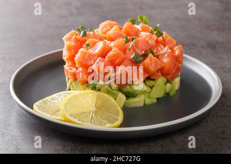 Salat aus rohem Lachstartar, Forellen-Tatar oder roten Fischwürfeln mit frischer Avocado-Nahaufnahme Stockfoto
