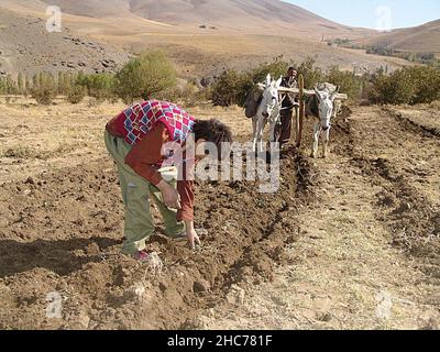 Varkaneh Steindorf in Hamedan, Iran Stockfoto