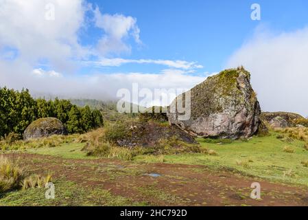 Große Felsbrocken aus Gletscherrasten in den hohen Anden. Zaruma, Ecuador, Südamerika. Stockfoto