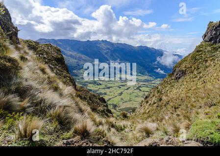 Paramo Landschaft der hohen Anden. Zaruma, Ecuador, Südamerika. Stockfoto