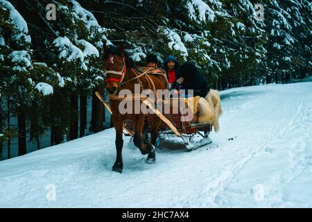 Nahaufnahme eines wunderschönen, traditionell dekorierten Pferdeschlittens im Winter im verschneiten Wald Stockfoto