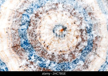 Unschärfe-Wendung und schüttelt schneeweißen blauen und braunen Regenschirm draußen auf Natur Winter verschneiten Wald Hintergrund. Kaltes Wetter. Frohe Feiertage. Nahaufnahme. Meteo Stockfoto