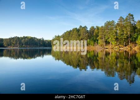 Schöner ruhiger nördlicher Minnesota See unter blauem Himmel mit Bäumen entlang der Küste bei nachmittäglicher Sonneneinstrahlung Stockfoto