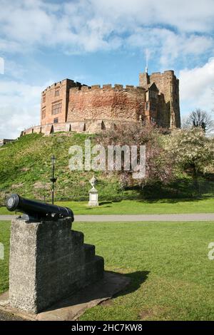 Tamworth Burg im Frühjahr mit Kanone Stockfoto