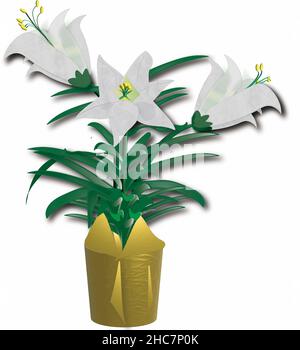 3D Osterlilie Pflanze Stockfoto