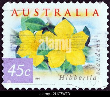 AUSTRALIEN - UM 1999: Eine in Australien gedruckte Marke aus der 'Fauna und Flora. Die Ausgabe von Coastal Environment zeigt die Blüte von Guinea (Hibbertia-Skandale). Stockfoto