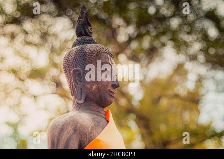 Kopf des Herrn Buddha im Profil auf einem verschwommenen Bokeh Hintergrund abstrakte Religion Kriegsschiff. Stockfoto
