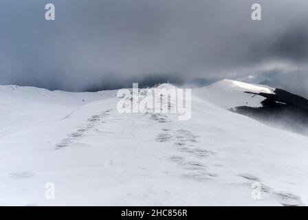 Schneesturm auf einem Bergrücken an einem bewölkten Tag, Bieszczady-Gebirge, Polen Stockfoto