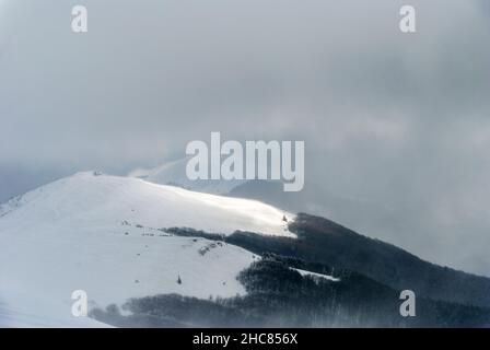 Schneesturm auf einem Bergrücken an einem bewölkten Tag, Bieszczady-Gebirge, Polen Stockfoto