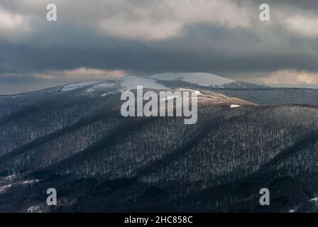 Schneebedeckter Wald in den Bergen an einem bewölkten Tag, Bieszczady-Gebirge, Polen Stockfoto