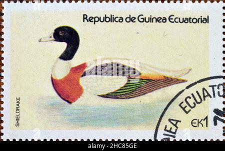 Abgesagte Briefmarke, gedruckt von Äquatorialguinea, die Sheldrake (Tadorna tadorna) zeigt, um 1978. Stockfoto