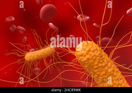 Allgemeine Bakterien im Blutfluss - Nahaufnahme Ansicht 3D Abbildung Stockfoto