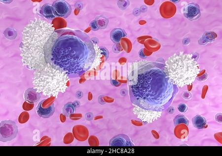 T-Zellen greifen akute myeloische Leukämiezellen (AML) im Blutfluss an - Nahaufnahme Ansicht 3D Abbildung Stockfoto