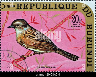 Abgesagte Briefmarke gedruckt von Burundi, die Dunnock (Prunella modularis) zeigt, um 1971. Stockfoto