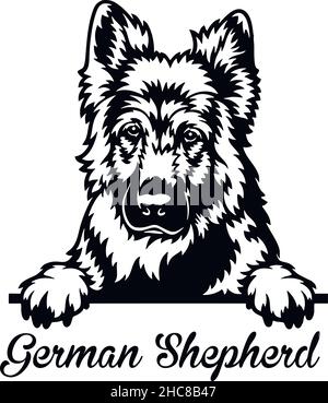 Deutscher Schäferhund Peeking Dog - Kopf isoliert auf weißem - Vektorstock Stock Vektor