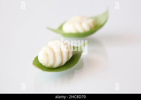 frische Gnocchi auf weißem Hintergrund Stockfoto