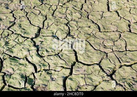 Trockenes Flussbett. Leeres, trockenes Flussbett mit rissem Boden. Konzept der globalen Erwärmung. Flache Wüstenlandschaft, ausgetrockneter Stausee, karge Erdsplitter Stockfoto