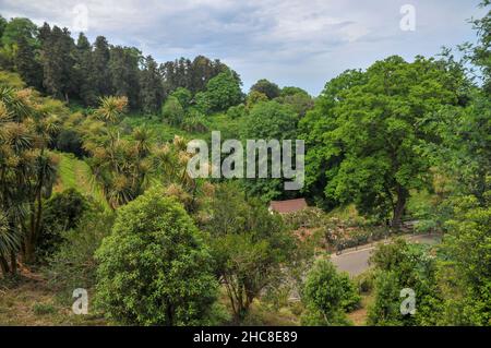 Batumi Botanischer Garten ist ein 108 Hektar großes Gebiet, 9 km nördlich der Stadt Batumi, der Hauptstadt der Autonomen Republik Adscharien, Georgia. Stockfoto