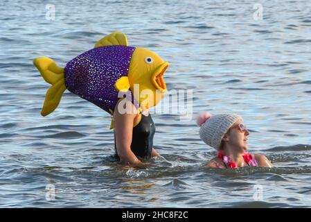 Paignton, Devon, Großbritannien. 26th. Dezember 2021. Wetter in Großbritannien. Schwimmer in festlicher Kleidung gehen am zweiten Weihnachtsfeiertag ins Meer, um an einem für die Saison unheimlich warmen, sonnigen Tag im Lion’s Club am Strand von Paignton in Devon ins Meer zu gehen. Bildnachweis: Graham Hunt/Alamy Live News Stockfoto