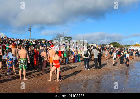 Paignton, Devon, Großbritannien. 26th. Dezember 2021. Wetter in Großbritannien. Schwimmer in festlicher Kleidung gehen am zweiten Weihnachtsfeiertag ins Meer, um an einem für die Saison unheimlich warmen, sonnigen Tag im Lion’s Club am Strand von Paignton in Devon ins Meer zu gehen. Große Menschenmassen säumen die Küste und den Strand. Bildnachweis: Graham Hunt/Alamy Live News Stockfoto