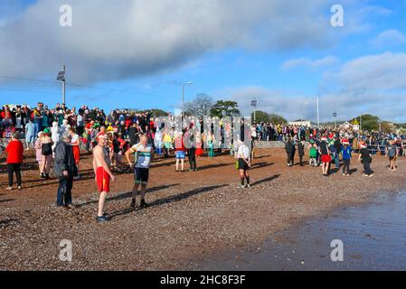 Paignton, Devon, Großbritannien. 26th. Dezember 2021. Wetter in Großbritannien. Schwimmer in festlicher Kleidung gehen am zweiten Weihnachtsfeiertag ins Meer, um an einem für die Saison unheimlich warmen, sonnigen Tag im Lion’s Club am Strand von Paignton in Devon ins Meer zu gehen. Große Menschenmassen säumen die Küste und den Strand. Bildnachweis: Graham Hunt/Alamy Live News Stockfoto