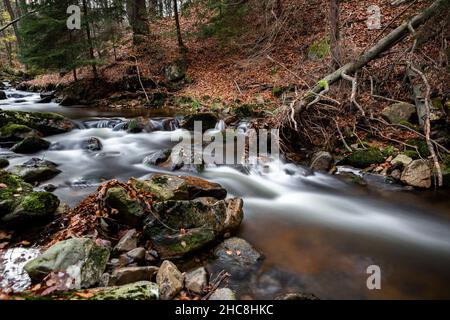 Nahaufnahme eines Flussflusses mit glatter Wirkung auf moosige Steine Stockfoto