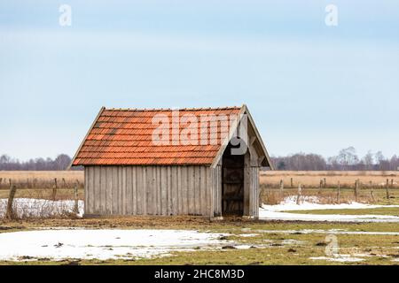 Nahaufnahme eines Hauses auf der Wiese in Celnice, Brünn, Tschechische Republik Stockfoto